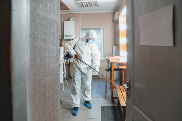 Best Environmental Consulting for Mold Prevention  in Angier, NC
