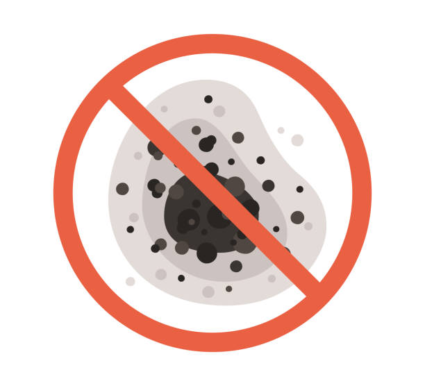 Best Dehumidification Services  in Angier, NC