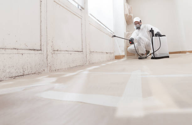Angier, NC Mold Removal Company