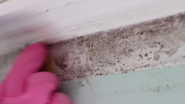 Best Indoor Air Quality Assessment  in Angier, NC